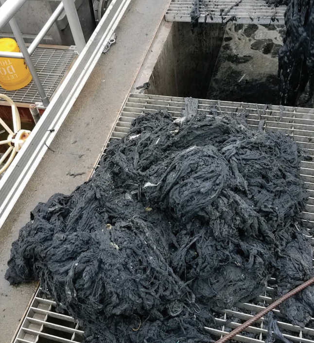 Wipes clog pipes